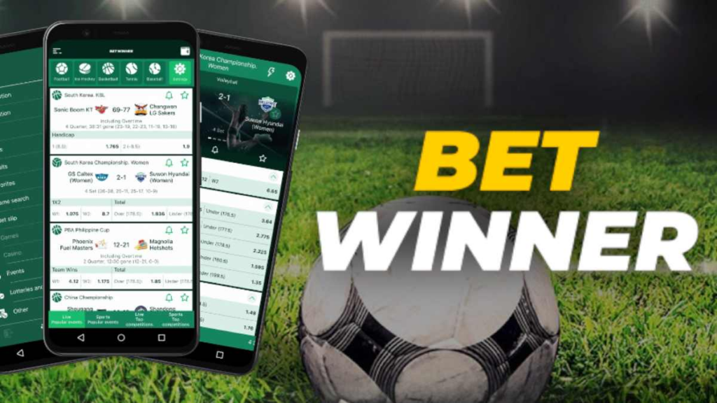Access to a Wide Range of Sports Betting Options